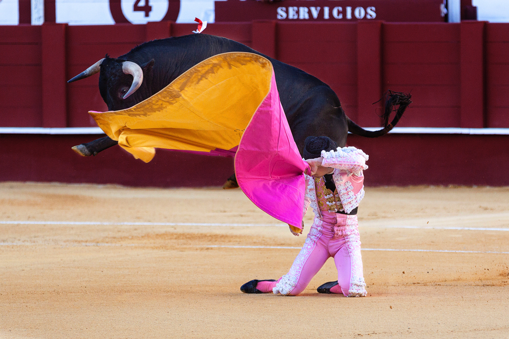 Bullfighting Schools in Spain